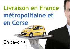 Lesaing en France
